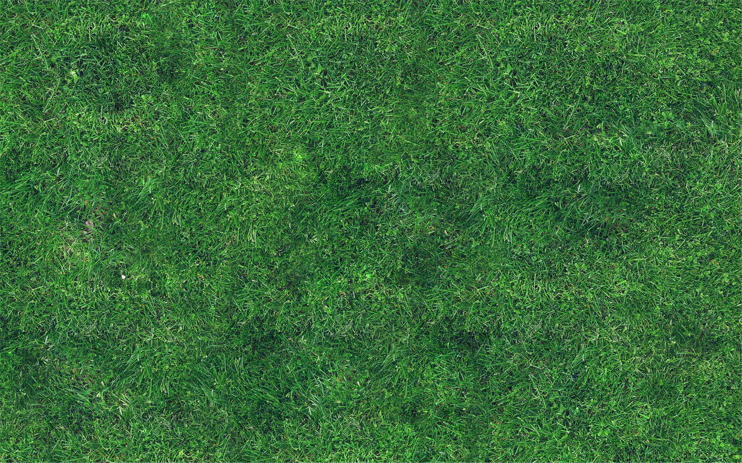 Padel Grass Transparent - Padel Hall